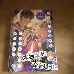 ある日、お姫様になってしまった件について9巻