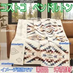 2026年最新】ペンドルトン ブランケットの人気アイテム - メルカリ