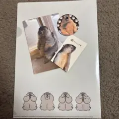 マーモット村 ステッカーセット