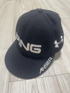 Item thumbnail for item d8c038c3-6e2d-4991-ab0d-3b52a651a4e9