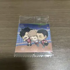 ハイキュー　ウエハースシール　シークレット　SEC HQ1-30