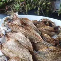 achamama 必読重要5/1更新様 リクエスト 2点 まとめ商品