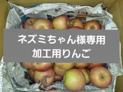 【ネズミちゃん様専用c4】加工用りんご
