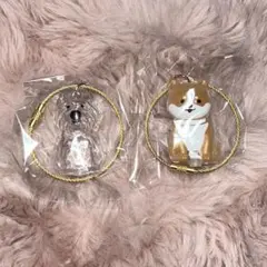 新品　未使用　わんこのタイムカプセル まめ モコ 毛玉入れ