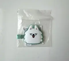 スビン アイドル