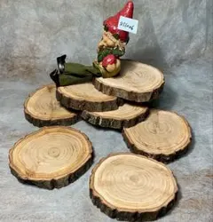 チッチ サワラ切り株と檜切り株輪切りのセット チッチ サワラ切り株と檜切り株輪切りのセット 楽天市場】輪切り
