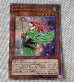遊戯王　ハーピィ・ハーピスト　25thシークレット　クオシク　ハーピィハーピスト