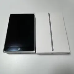 【極美品】Apple iPad mini 5 256GBスペースグレー