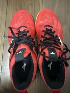 Item thumbnail for item 40e2c85e-88ba-4b2d-b6a6-6e27afa4f843