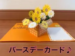 アリス様 リクエスト 2点 まとめ商品