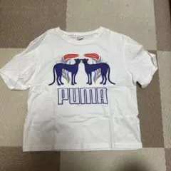 PUMA グラフィックプリント Tシャツ
