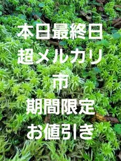 メルカリ