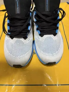 NIKE エアズームペガサス41 27.0cm