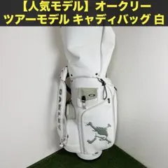 Item thumbnail for item e09d1667-afd4-4169-a04d-80b286c2860c