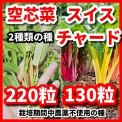 アールエス様 リクエスト 3点 まとめ商品