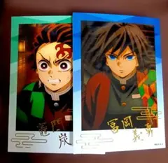 鬼滅の刃 トレーディング箔押しブロマイド 無限城編ver. 冨岡義勇
