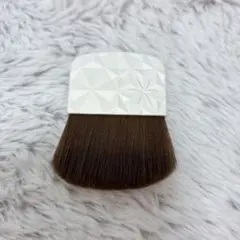 DECORTÉ AQのオーラリフレクター付属のブラシ