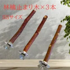 林檎止まり木（SS）059