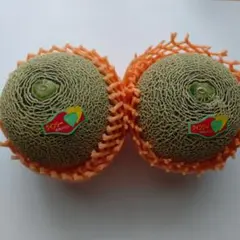 茨城県産 クインシーメロン 2玉 6/6食べ頃のサムネイル