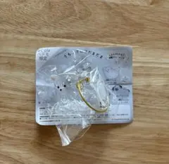 うちの子けだまだま チワワ 白