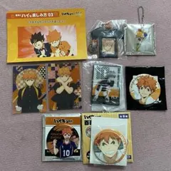 【新品未使用】ハイキュー 烏野高校 日向翔陽 9点 まとめ売り