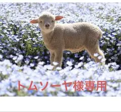 ソニー SONY MD WALKMAN MZ-E700 ピンク 充電器 電池 ソニー SONY MD WALKMAN MZ-E700 ピンク 充電器 電池 SONY ソニー