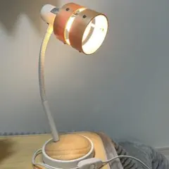 Item thumbnail for item e3faee38-02d7-4898-bf1e-1836b43fde0b