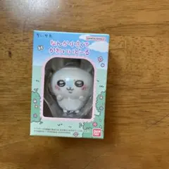 Item thumbnail for item 4d29784b-5378-41d2-9dd4-903f2eee30aa