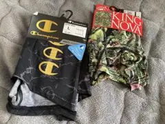 Item thumbnail for item 527c9456-81e5-4b41-bc4e-124765f09930