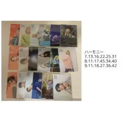 Mrs. GREEN APPLE ハーモニー フォトカ 18枚セット