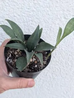 ガレージM様 リクエスト 3点 まとめ商品