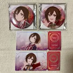 プロセカ コネクトライブ 缶バッジ チケット風カード　MEIKO