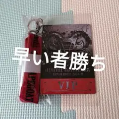 浜崎あゆみ-Scapegoat- VIP席特典パス⭐︎光るブレスレット付き
