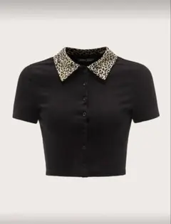 Item thumbnail for item 51c2f718-9731-4953-a962-f28f23f9d2db