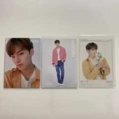 SEVENTEEN ミンギュ　HARU ハルコン　トレカセット