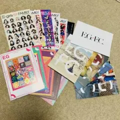 限定値下げ！【E-girls】会報&フラッグセット★美品