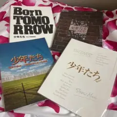 SnowMan SixTONES 少年たちパンフレットセット