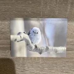 Item thumbnail for item 2dfc309a-0ead-48d4-b555-f81a2af2b8f3