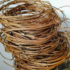 Item thumbnail for item 26b9a9b9-8383-4008-9fbb-c8b4e72d5abf