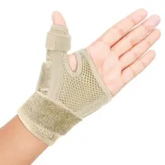 Item thumbnail for item 2595231e-3cf8-45f7-8207-c27f1d1b9f36