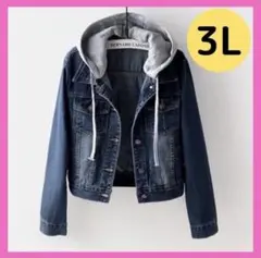 綺麗め レディース デニム 大人 ジャケット カジュアル 韓国 コーデ 3L