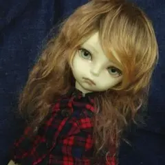 2026年最新】ドールウィッグ モヘアの人気アイテム - メルカリ