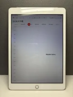 Apple iPad Pro 9.7インチ A1673 本体 32GB☆極美品☆ - メルカリ