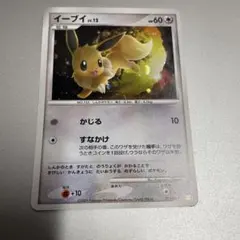 2009年特価イーブイ ！