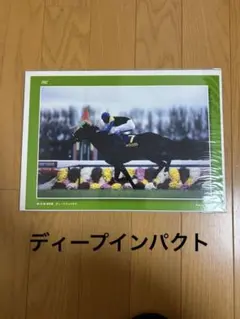 ディープインパクト　競馬　写真　デジタルピンナップ