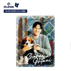 大谷翔平 SHOHEI OHTANI スペくじ デコピン ステッカー シールのサムネイル