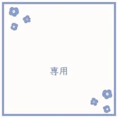 【専用】イエロー透明　パープル透明　リフィル20枚
