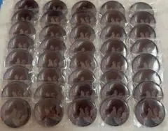 プロセカ 望月穂波 グリッター缶バッジ 31c 40点