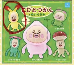 新品 未開封 こびとづかんのぬいぐるみ ホトケアカバネ ガチャのサムネイル