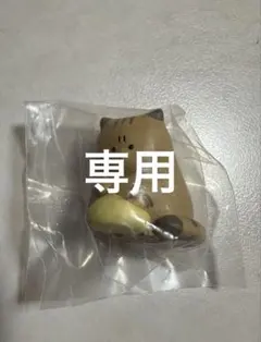 怒った猫ちゃあぁぁん4 ちぃ様専用